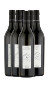 Déclinaison de Chasselas