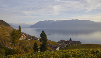 Christoph Kern - Swiss Wine