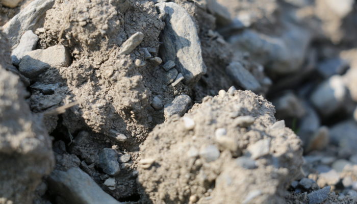 terroir paccot domaine la colombe