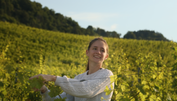 Domaine La Colombe - Laura Paccot - par Dominique Derisbourg