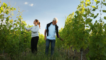 Paccot La Colombe - Conservatoire Mondial du Chasselas - La Cote - Petit Clos - par DominiqueDerisbourg.com (4) R