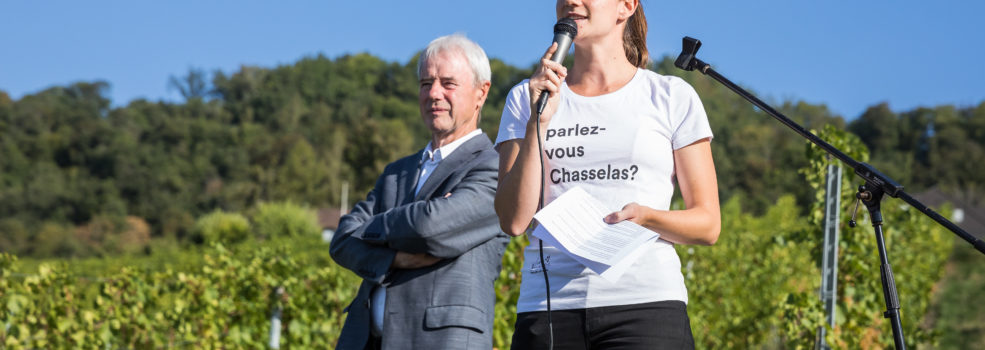 Paccot La Colombe - Conservatoire Mondial du Chasselas - La Cote - Petit Clos - par Marc Ducrest (3)