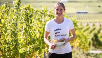 Paccot La Colombe - Conservatoire Mondial du Chasselas - La Cote - Petit Clos - par Marc Ducrest (4)