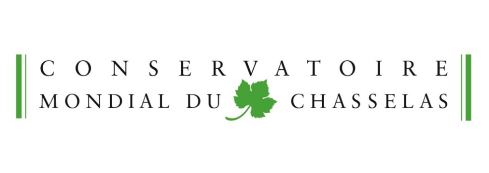 LOGO Conservatoire